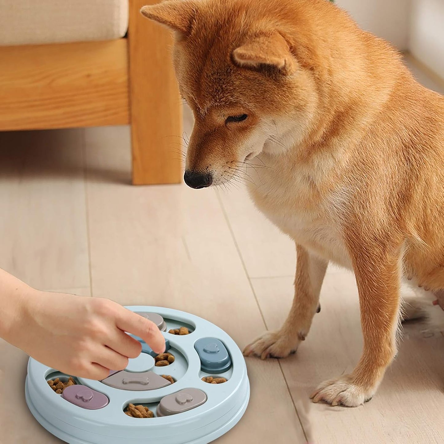 Canine Mind Challenge Toy