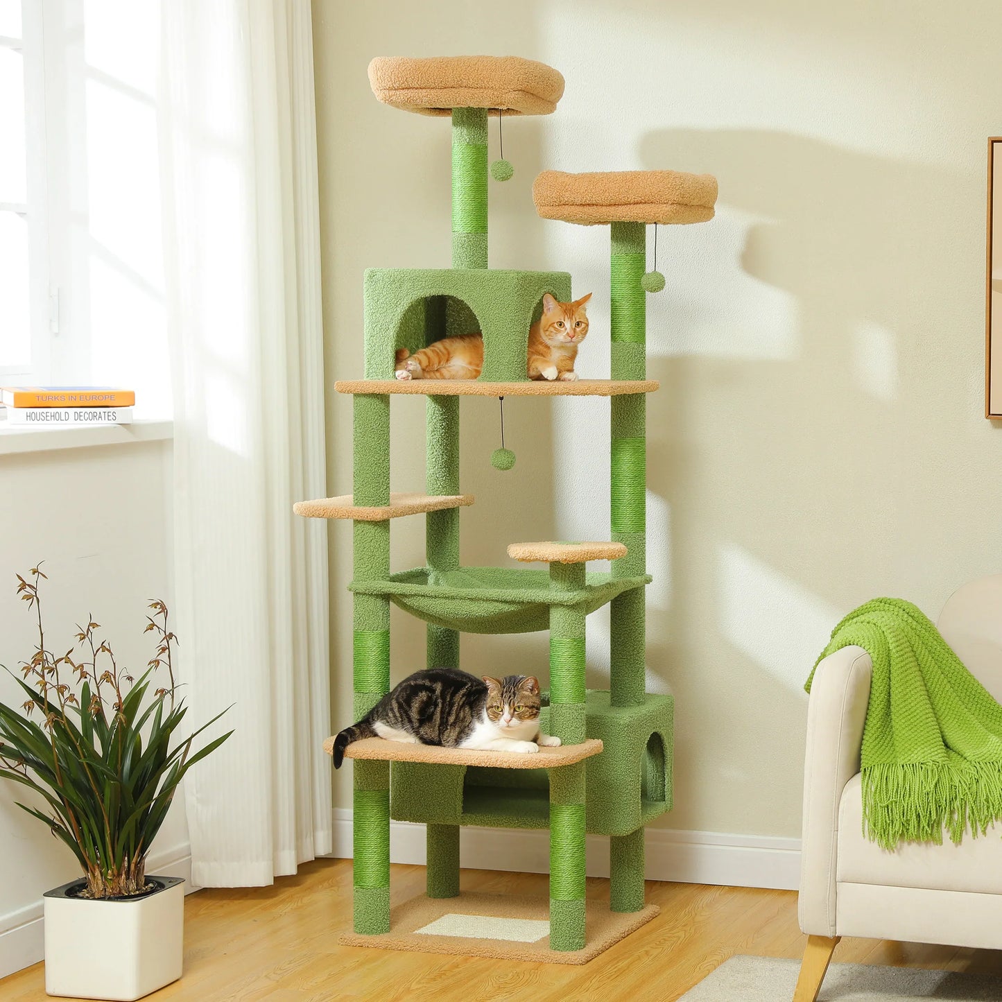 Ultimate Indoor Cat Adventure
