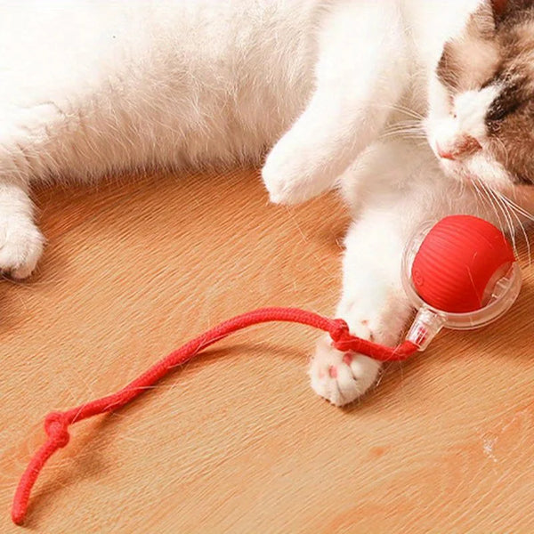Whisker Wiggle Play Ball