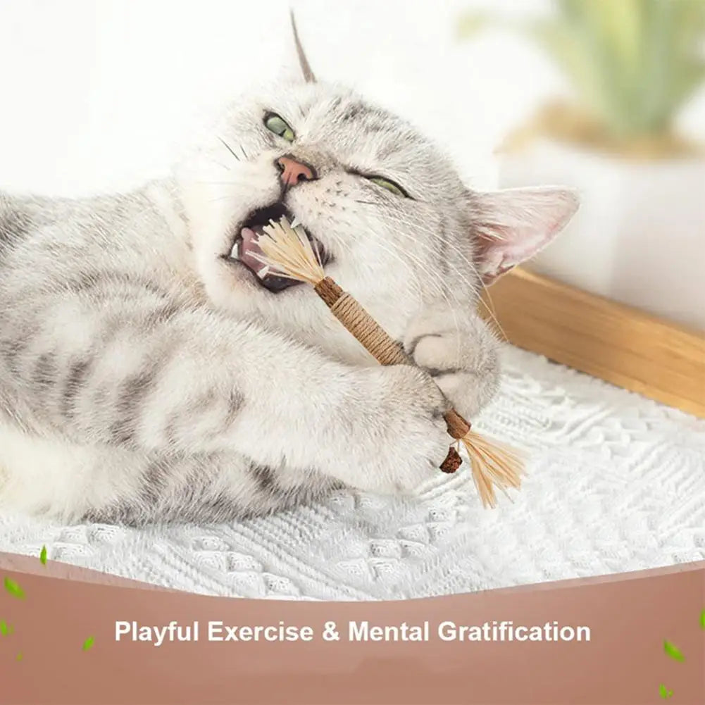Natural Catnip Dental Chew Sticks