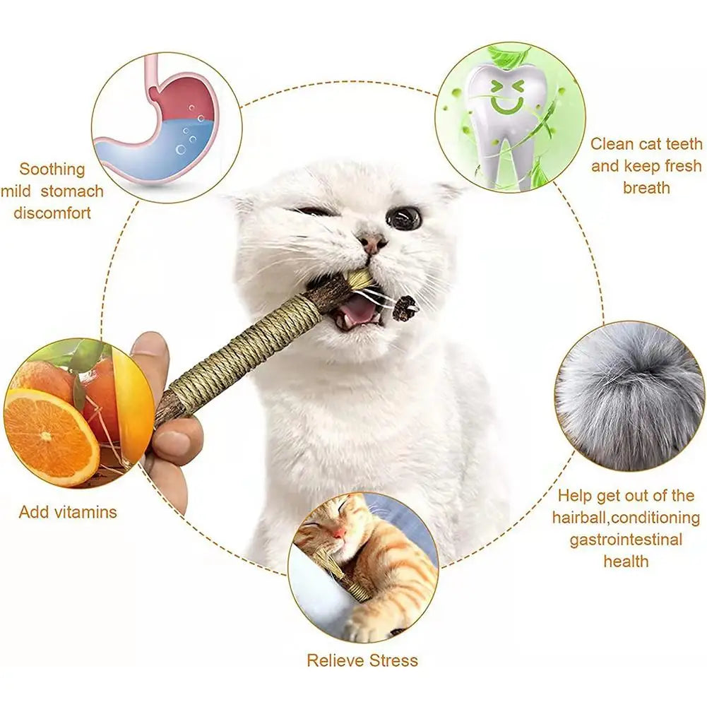 Natural Catnip Dental Chew Sticks