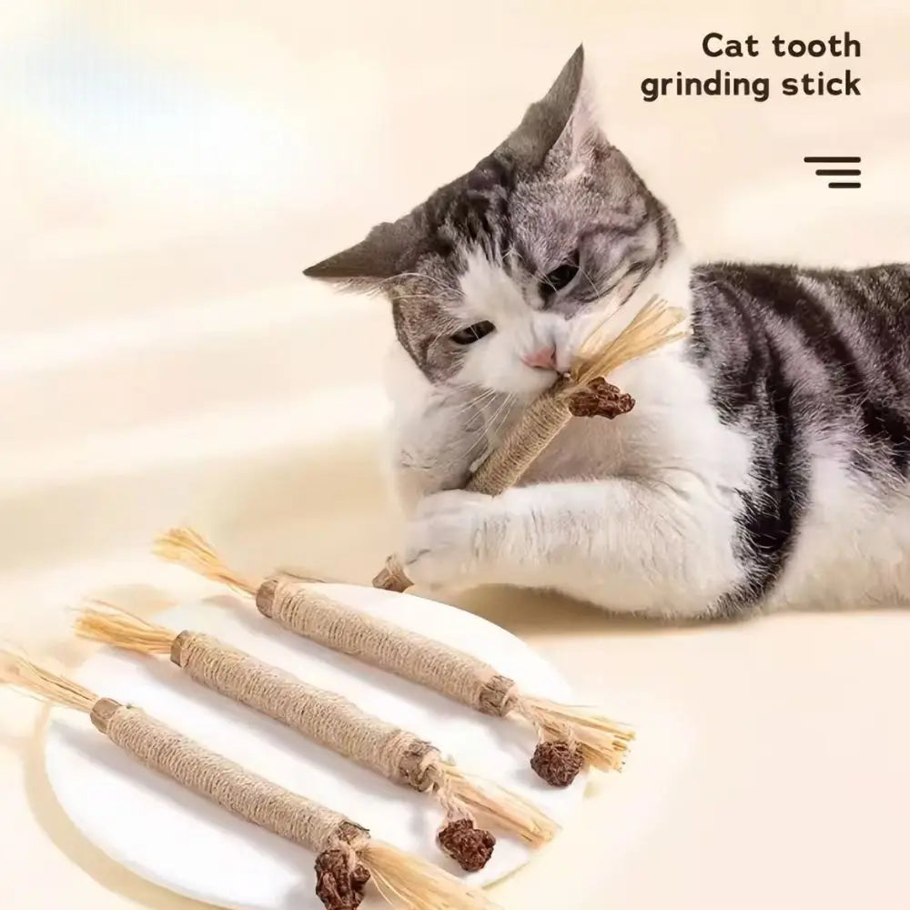 Natural Catnip Dental Chew Sticks