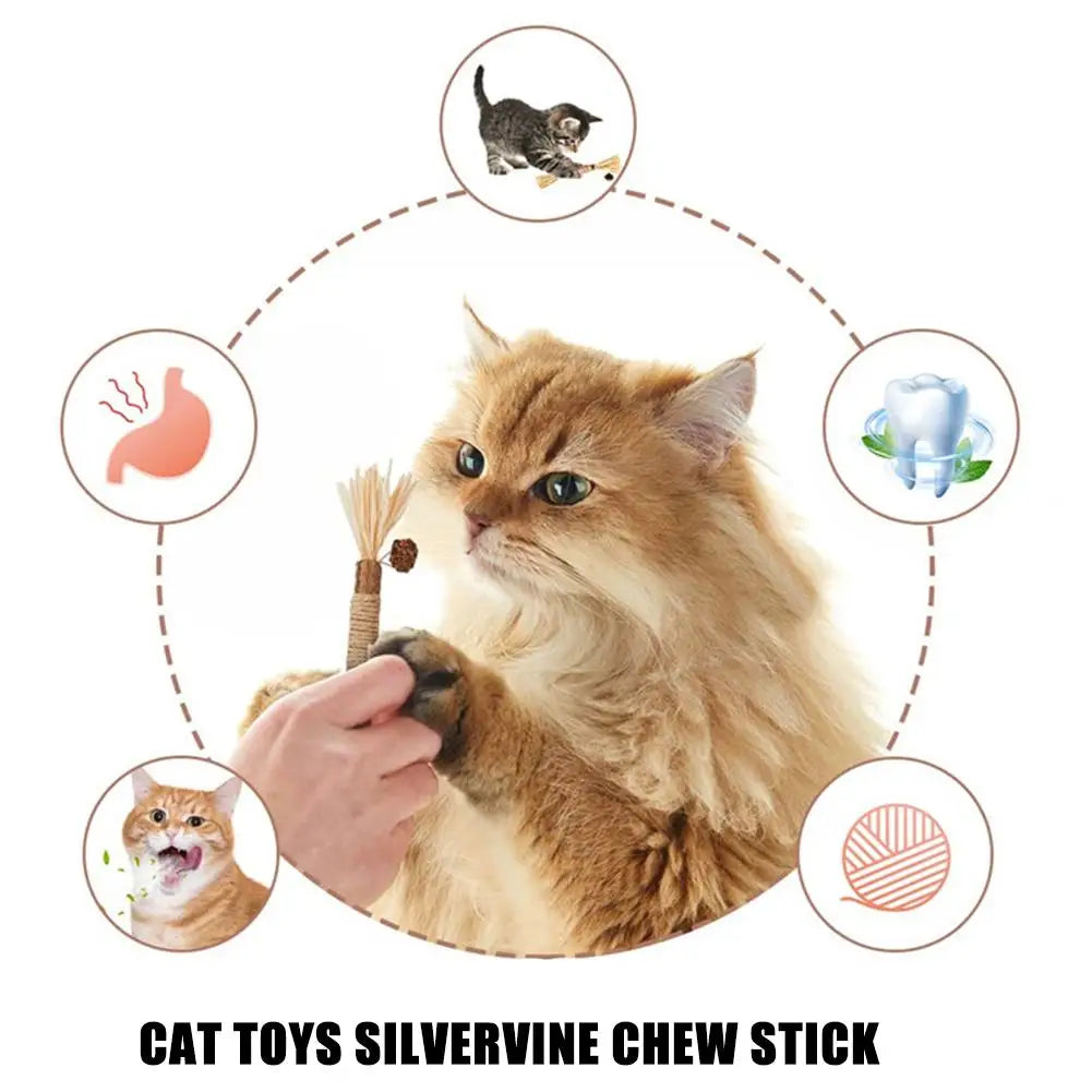Natural Catnip Dental Chew Sticks