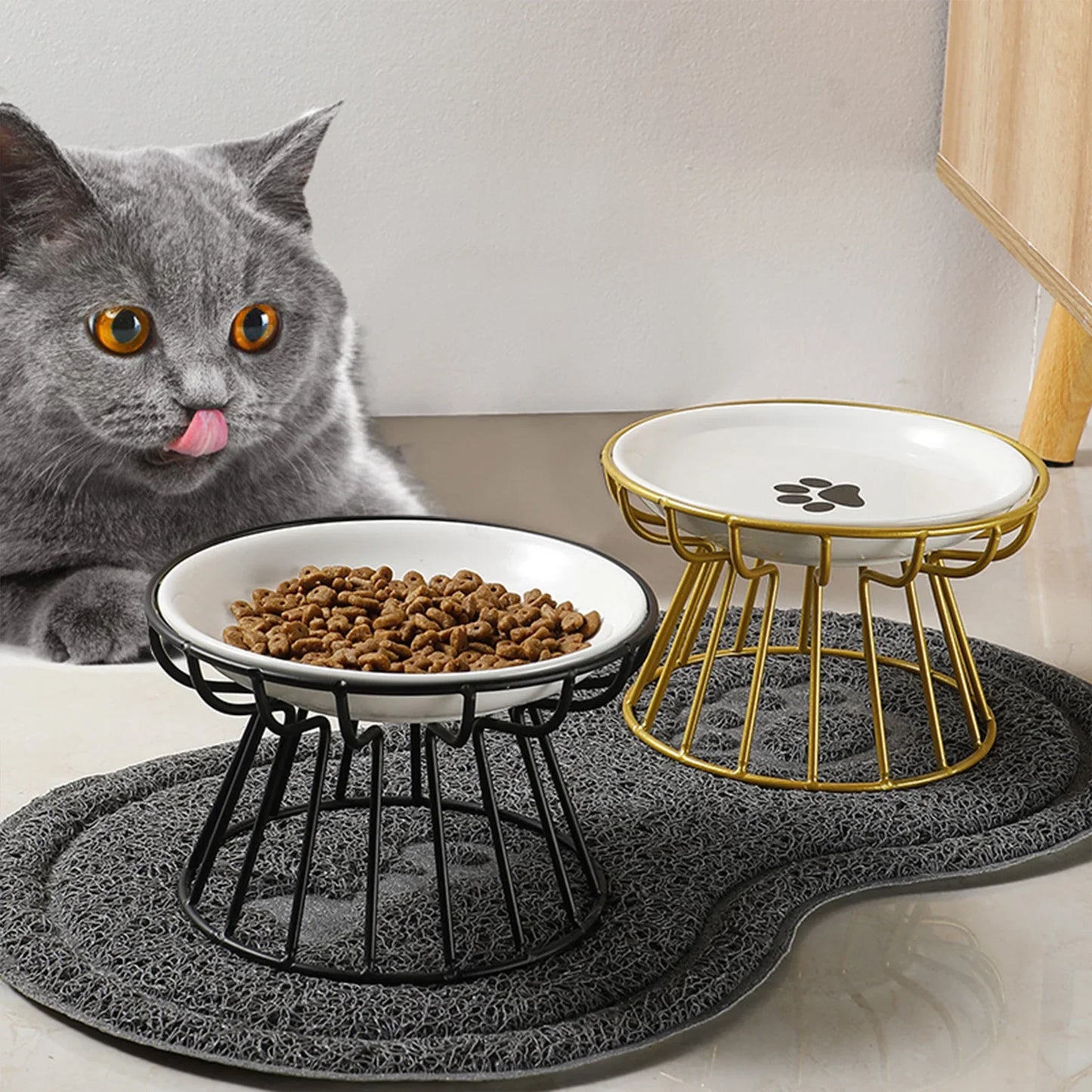 Elevated Cat & Puppy Feeding Bowls