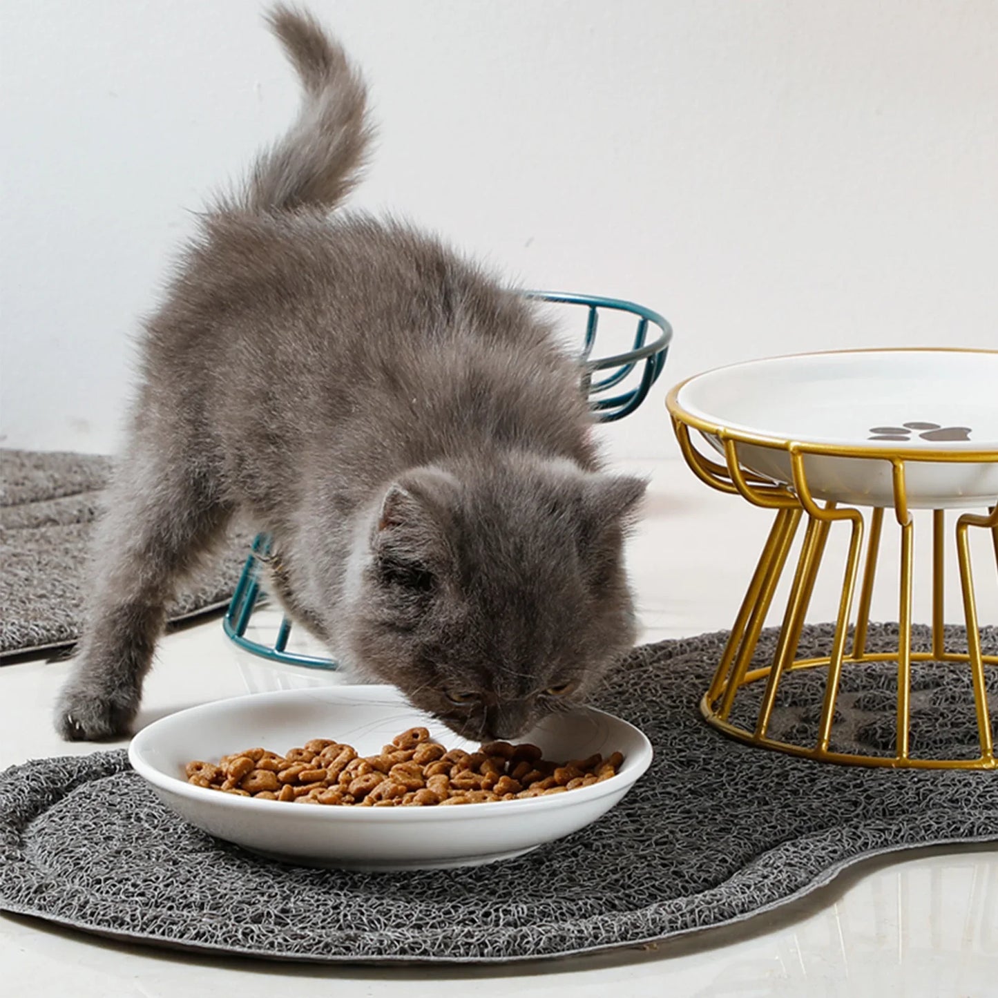 Elevated Cat & Puppy Feeding Bowls