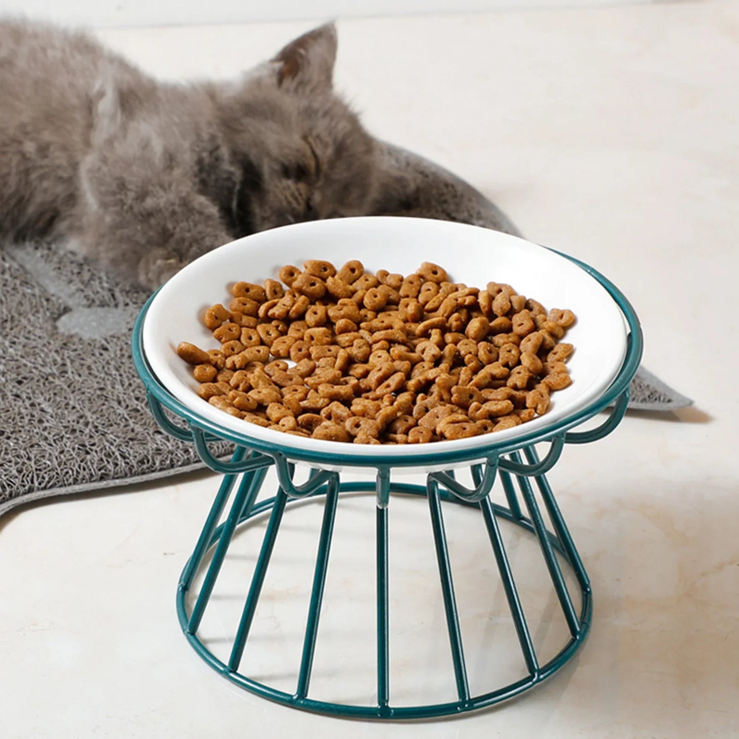 Elevated Cat & Puppy Feeding Bowls