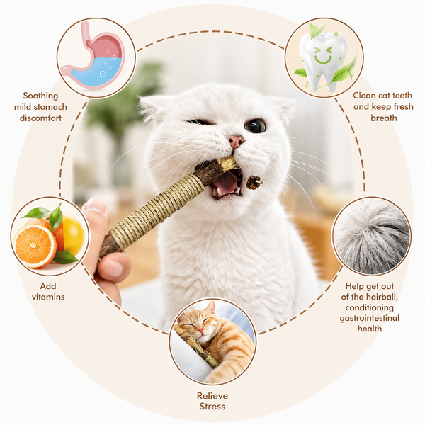 Natural Catnip Dental Chew Sticks