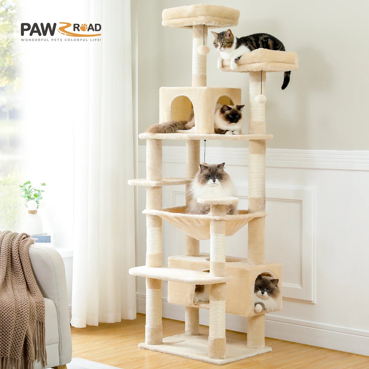 Ultimate Indoor Cat Adventure