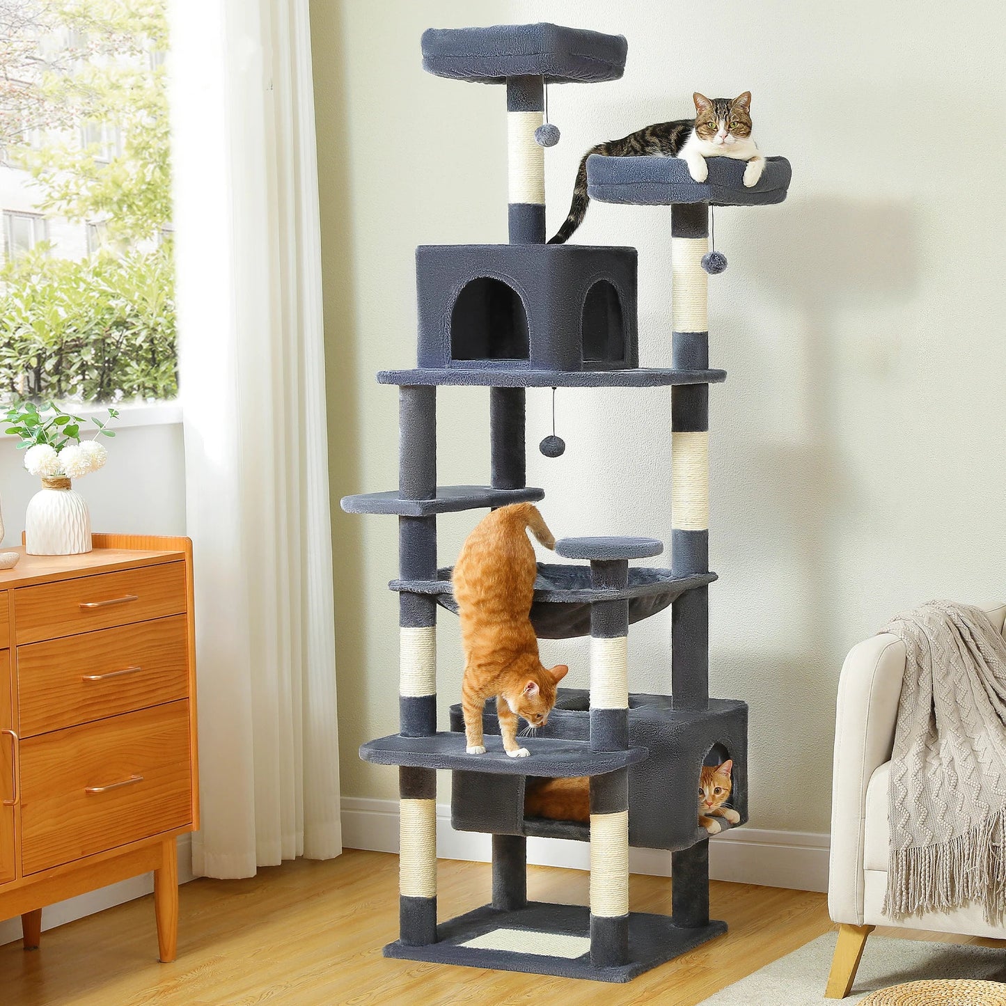 Ultimate Indoor Cat Adventure