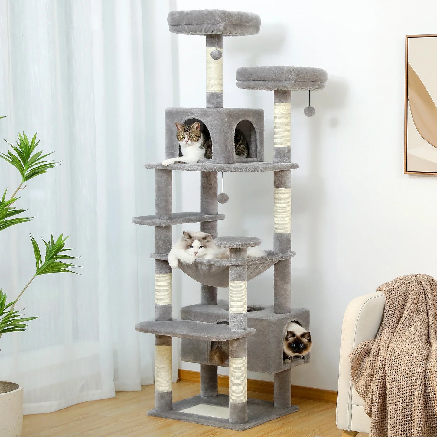Ultimate Indoor Cat Adventure