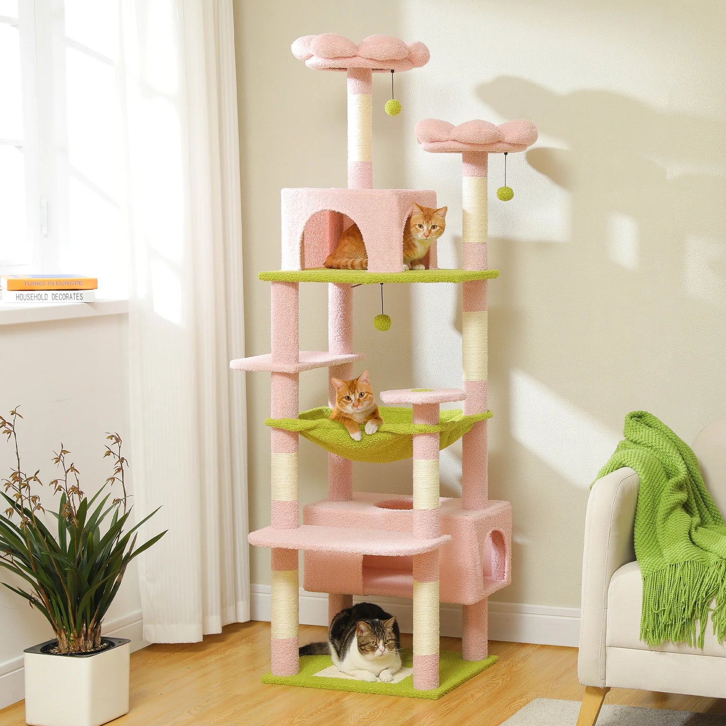 Ultimate Indoor Cat Adventure