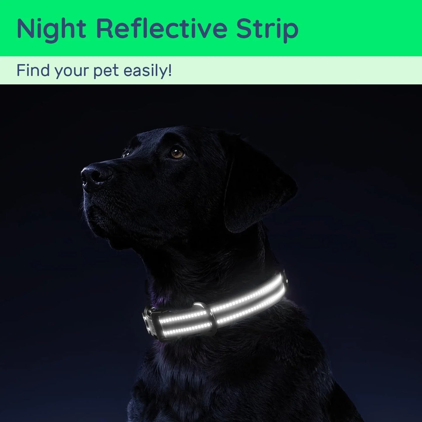 Reflective Waterproof Dog Collar